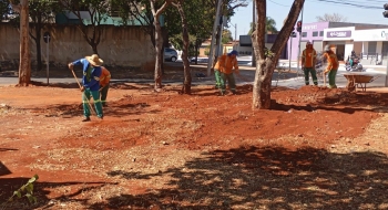 Capital revitaliza paisagismo com quase 80 mil novas mudas de flores